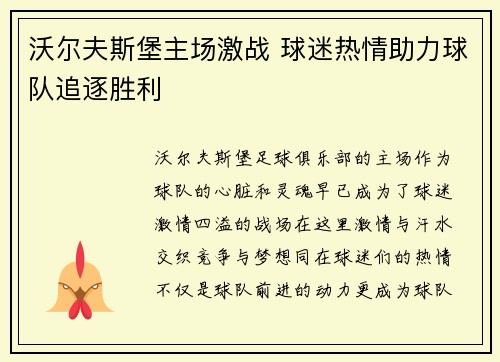 沃尔夫斯堡主场激战 球迷热情助力球队追逐胜利